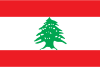 Lebanon dumpsbuddy