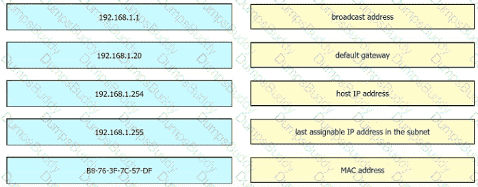 200-301 Question 218