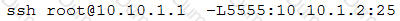 PT0-002 Question 95