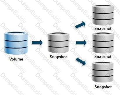 D-XTR-DY-A-24 Question 17