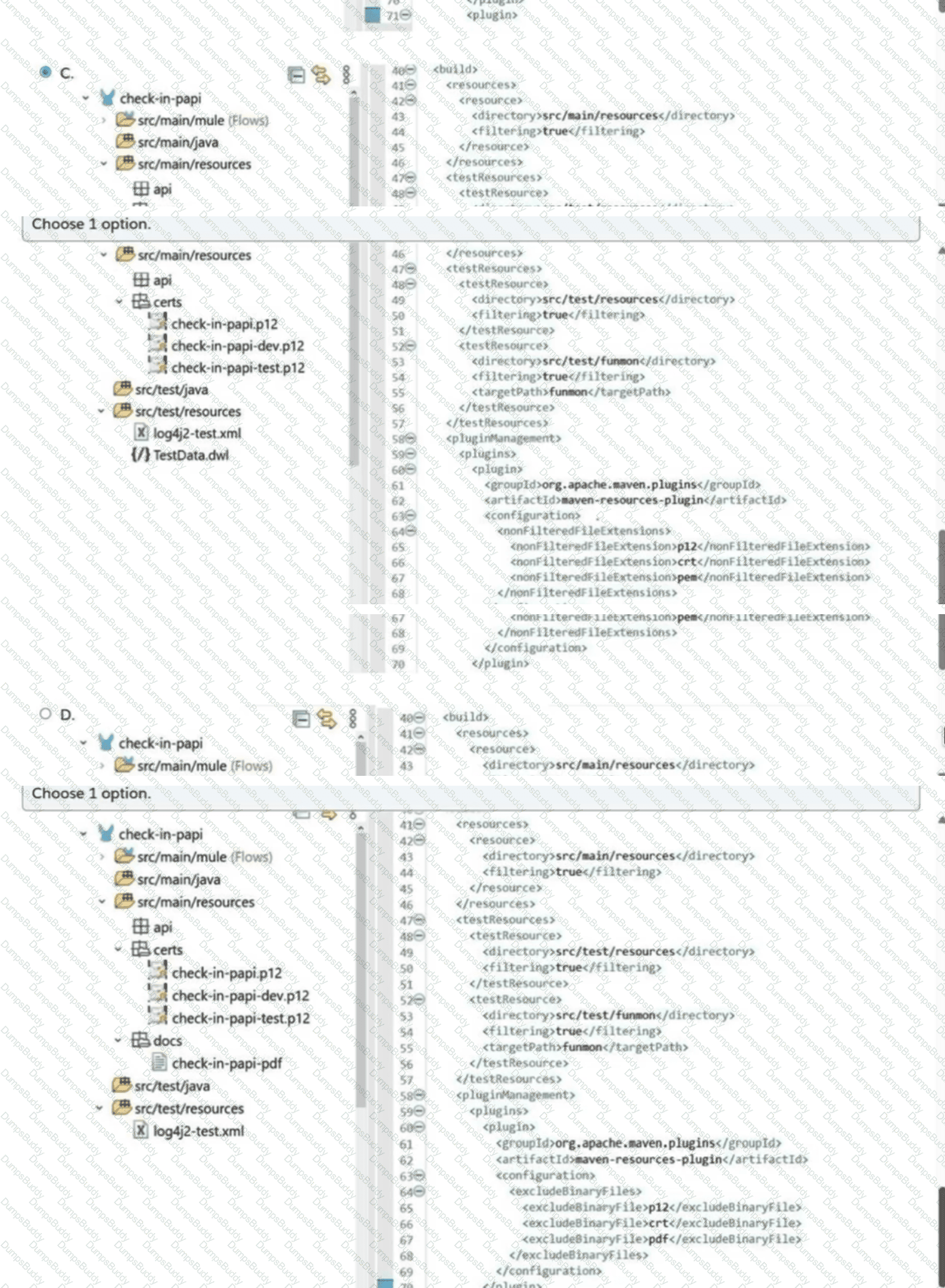 Mule-Dev-301 Question 5
