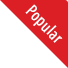 Adobe Bundle PDF For 6 Months